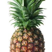 Pineapple Events (@pineappleevents) 's Twitter Profile