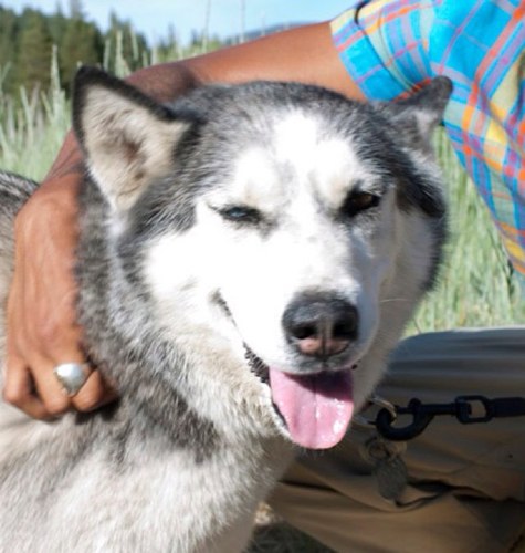 skybreaker89's profile picture. 