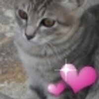 miyu (@sea_miu) 's Twitter Profile