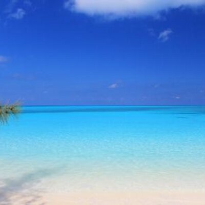 Profile Picture of Alberto Drago (@AlbertDragoo) on Twitter