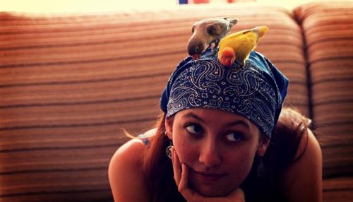 twittentos's profile picture. Hago pájaros de barro y los echo a volar. Manolo Garcia. Twitter del aula de Lengua.
Aster Navas @irakasle
Imagen: Ignacio García http://t.co/BTj9eQhrWg…