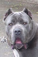 Subjektivchik's profile picture. 