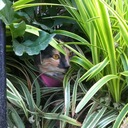 Beverly Dillon - @bev_dillon - Twitter