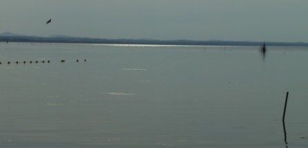 PatrickVervaele's profile picture. Pragmatic, Results Oriented, Team Player.