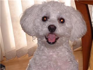 Suesgifts's profile picture. My Love for Animals shows as I am a Advocate for them & have a petition to help 4 Canada's Animals Change is Needed!