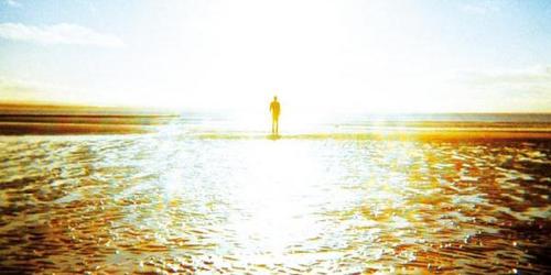 sergge's profile picture. void