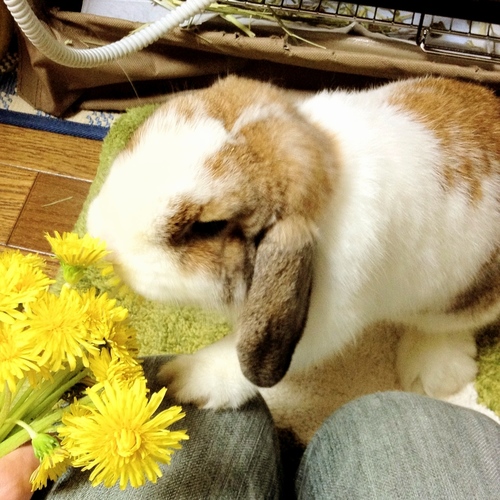 Uさんのプロフィール画像