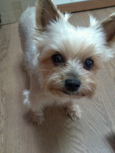 _YOrunseobi's profile picture. 진실되고 가식없는 21살 섭덕수니뷰티의 절친비계입니동'-'