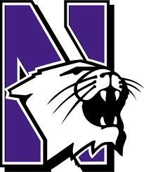 Indiana University Alum, Northwestern University Alum
Advertising/ Sales Executive/ Social Service Advocacy