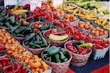 Georgia Food, Brew, Wine, Restaurant, B&B Reviews. What's local, what's seasonal, what's good, and what's not