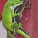 Jeffrey Norman Lear - @Kyd1945 - Twitter