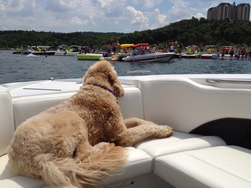 cindyfulp's profile picture. 