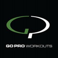 Go Pro Workouts (@goproworkouts) 's Twitter Profile