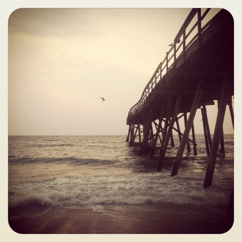 NC_Sweetheart1's profile picture. 