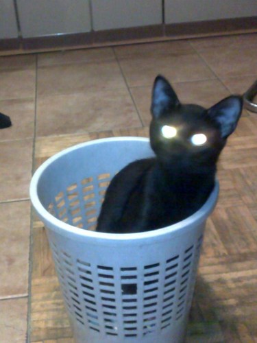 aga_marta's profile picture. Warszawa. I wszystko jasne?...