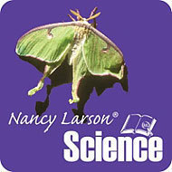 Nancy Larson Science is a complete hands-on elementary science curriculum with challenging content that engages students and is easy to teach.