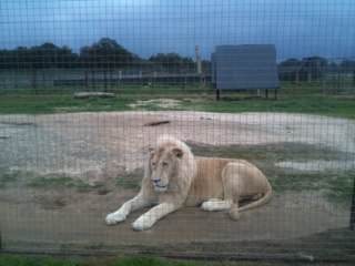 BjornAxe's profile picture. 