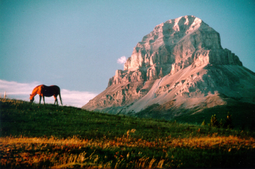 Crowsnest Pass is in the Canadian Rocky Mountains in the southwest corner of Alberta with an awesome array of recreational & cultural activities #crowsnestpass