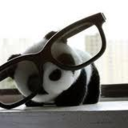 sierra brooks - @solfball13 - Twitter