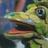 Justpolina's profile image