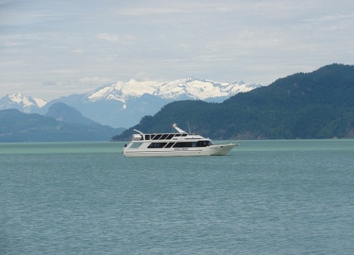 ShorelineTours's profile picture. Discover the majestic waters of Harrison Lake in beautiful British Columbia. Embrace nature with stunning landscapes and wildlife. An unforgettable experience.