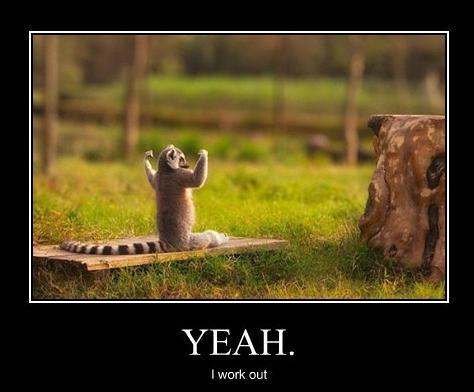 monkeyrogers69's profile picture. 