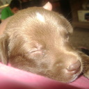 mary casas - @marycasas7 - Twitter