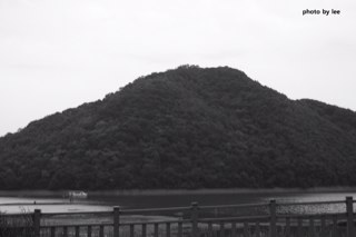 gksmfvnaryghl's profile picture. 