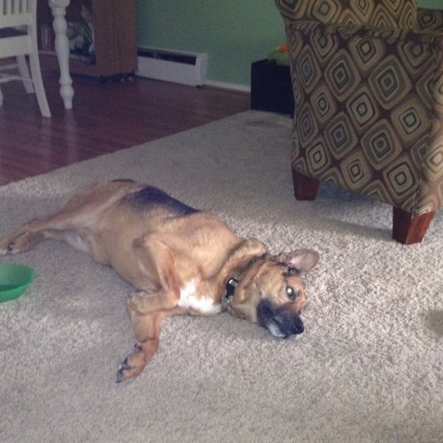 jenny333mist's profile picture. 