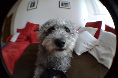 naudi's profile picture. 