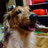 fukutyanbo's profile image