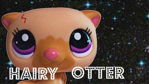Hi im Hairy Otter. I go to Owlpoops School of Magic. i have two friends called Hermousie Granger and Don Weasel.Call me whatever you like BESIDES WOMBAT!