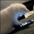 rama955's profile image