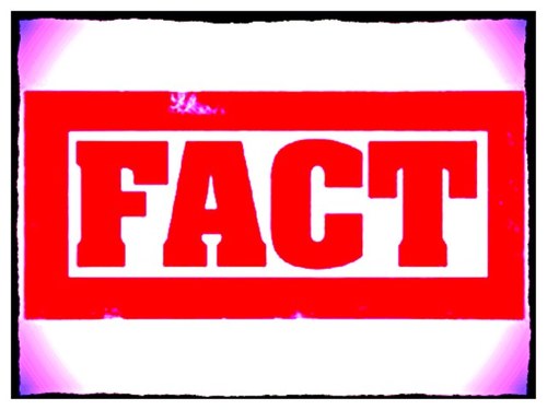 VeryRealFacts's profile picture. Tweeting lots of pointless facts that you may or may not enjoy... Anyway follow @RanDumblyFunny so you can get a good laugh!