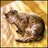 2gaxntrelo's profile image