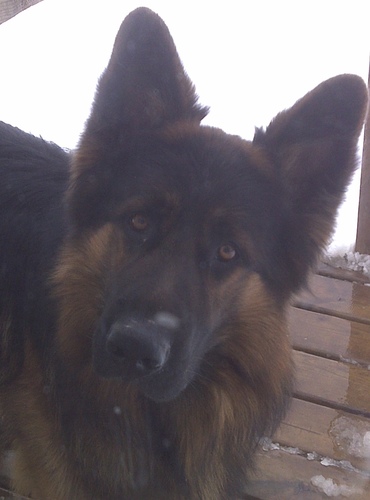 Svarpaul's profile picture. love helping and making a diffrence in peoples life..