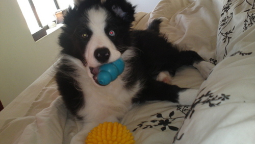 treeriver420's profile picture. 