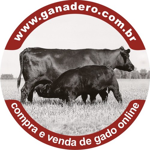 COMERCIO ONLINE DE BOVINOS , EQUINOS E FAZENDAS