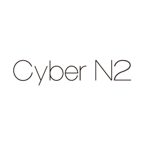 大阪のホームページ制作会社 Cyber N2。費用対効果の高い制作プランでWebサイト制作、Webコンサルティングを承ります。