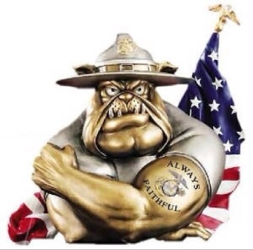 1GreatAmerican's profile picture. I'm a born and raised American, I love God, my Family and my Country. I will not stand idly by and watch my country fall away from our original constitution.