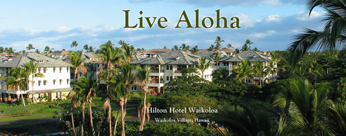 TravelDiscount2's profile picture. Find travel discounts and tips.