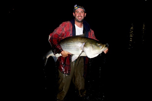 colinbu's profile picture. MSc. student (fish lab.. woot) #CatchTagRelease. the truth can be difficult but beautiful