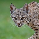 Barry Rowan - @BarryRowan - Twitter