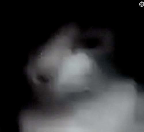 mayumi_hirano's profile picture. 