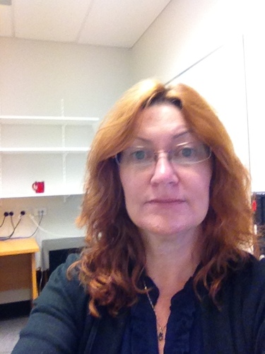Librarian turned Manager in Information Services, Library and Learning Service, Griffith Unviversity, Queensland.