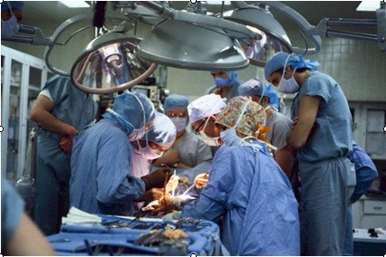 Cirujana Toracoabdominal Gral Gastroenterologa con valor civil,franca,noble,amant d naturaleza,life and lover
