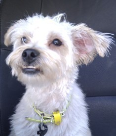 OxyOss's profile picture. 