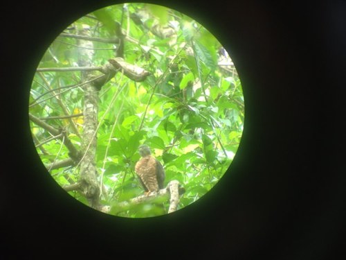 graygirlbeast's profile picture. 