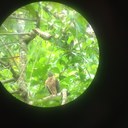 Leesa Gray - @graygirlbeast - Twitter