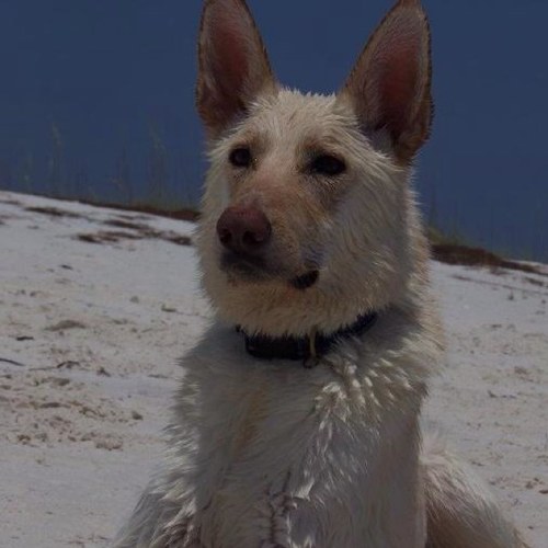 Ronnied330's profile picture. 